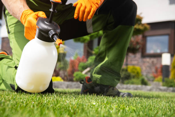 Professional Pest Control in Hays, NC