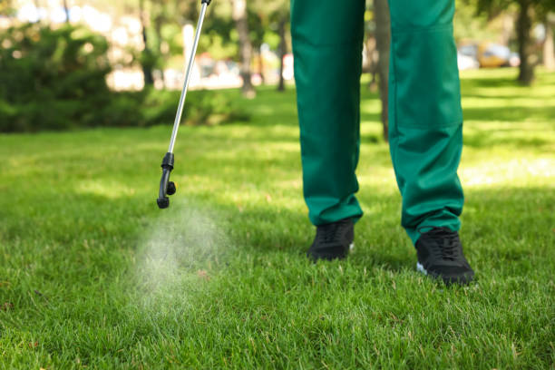 Best Pest Inspection Near Me  in Hays, NC
