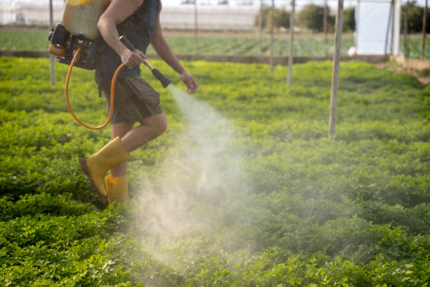 Best Mosquito Control Services  in Hays, NC