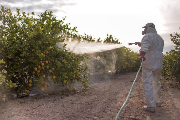 Best Affordable Exterminators  in Hays, NC