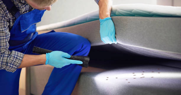 Best Residential Pest Control  in Hays, NC