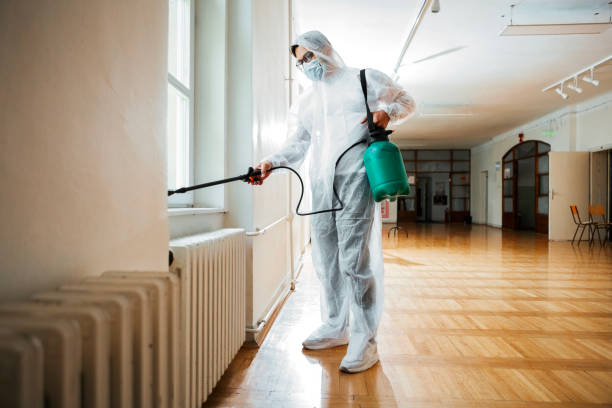 Best Insect Control  in Hays, NC