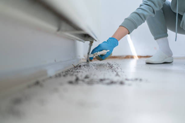 Best Pest Removal Services  in Hays, NC
